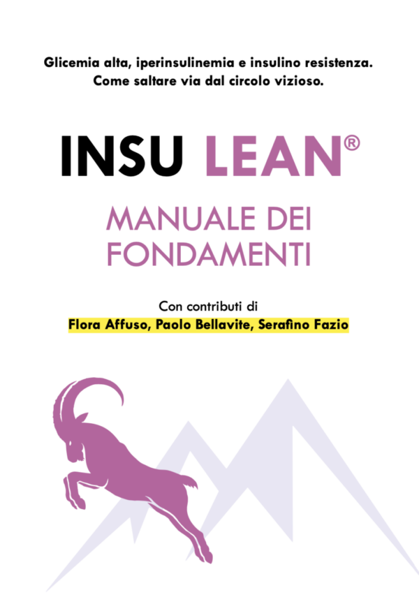 Copertina-Insu-Lean-Manuale-900x1312